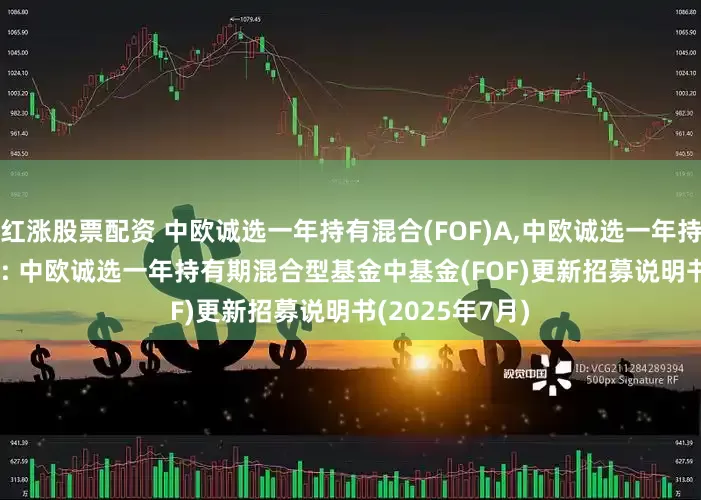 红涨股票配资 中欧诚选一年持有混合(FOF)A,中欧诚选一年持有混合(FOF)C: 中欧诚选一年持有期混合型基金中基金(FOF)更新招募说明书(2025年7月)
