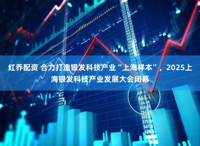 红乔配资 合力打造银发科技产业“上海样本”,2025上海银发科技产业发展大会闭幕