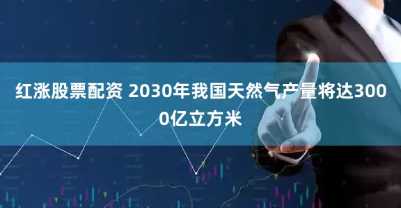 红涨股票配资 2030年我国天然气产量将达3000亿立方米